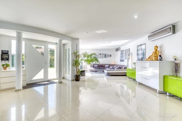 Immobilier--1-