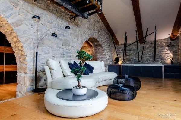 Immobilier--110-