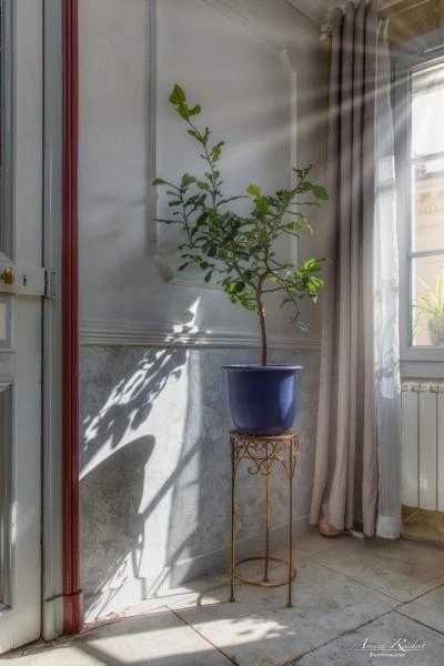 Immobilier--115-