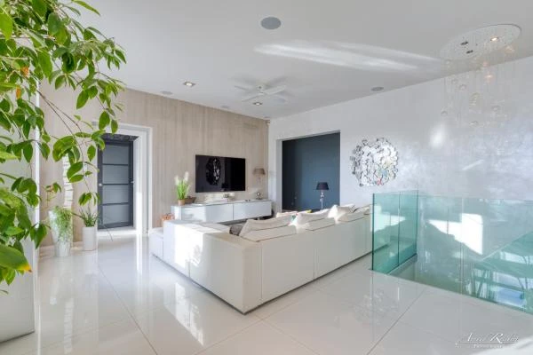 Immobilier--174-