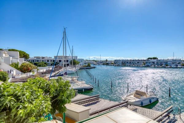 Immobilier--208-