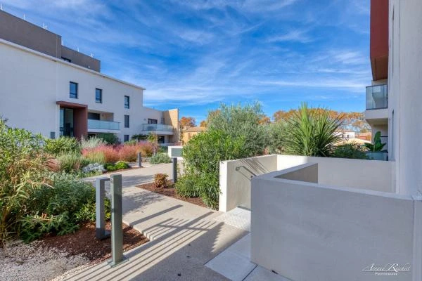 Immobilier--243-