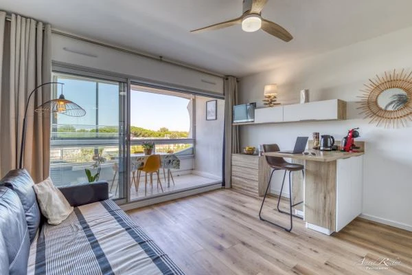 Immobilier--252-