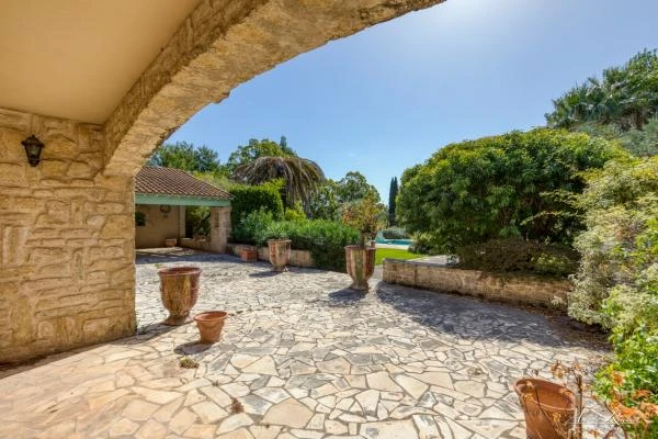 Immobilier--269-