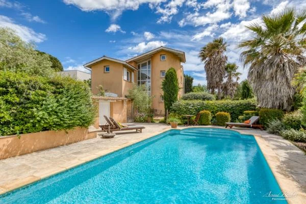 Immobilier--291-
