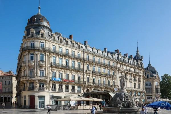 Immobilier--96-