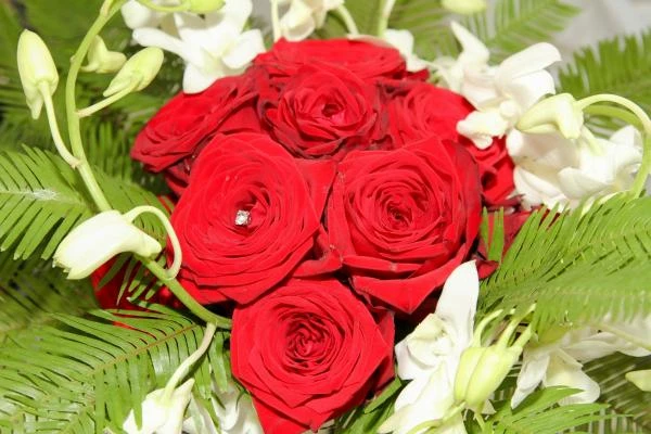 Mariage--182-