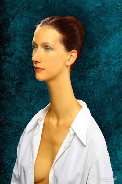Portraits-imaginaires--24-