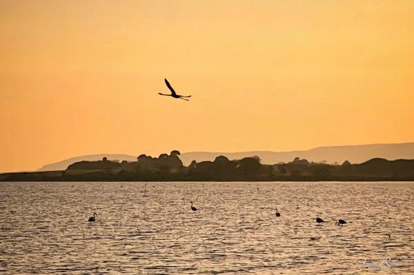 Ville-et-nature--16-