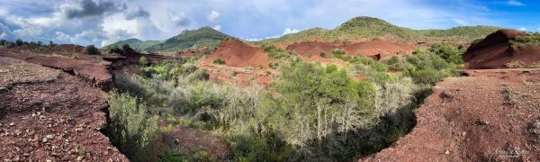 Ville-et-nature--17-