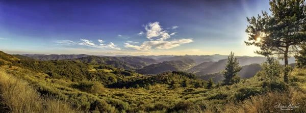 Ville-et-nature--2-