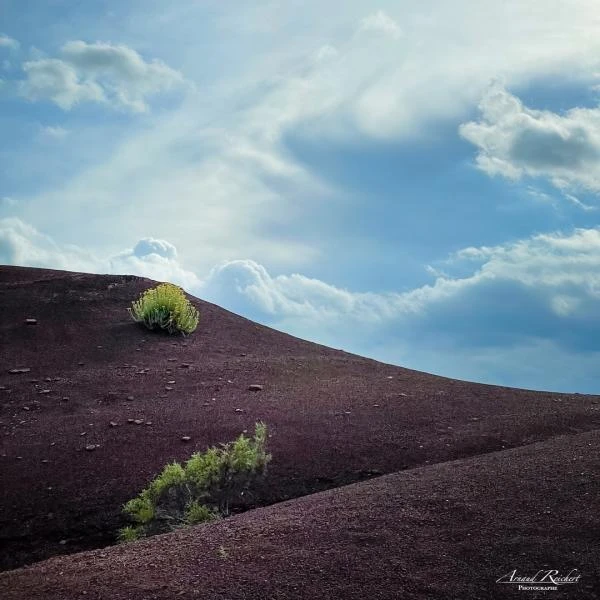 Ville-et-nature--33-