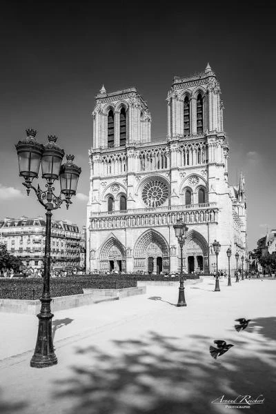 Ville-et-nature--77-